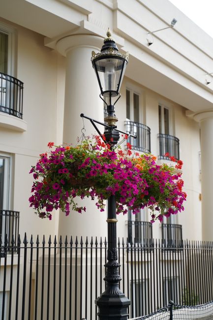 A decorative black iron street lamp post adorned with a vibrant, cascading flower basket filled with pink, purple, and red petunias. The flowers are fresh, with textured petals and lush green foliage,