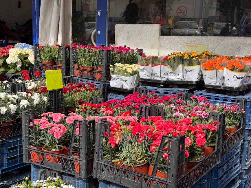 An outdoor display of various potted flowering plants arranged in black plastic crates outside a florist shop. The arrangement features bright pink, red, white, orange, and yellow blooms, including ca
